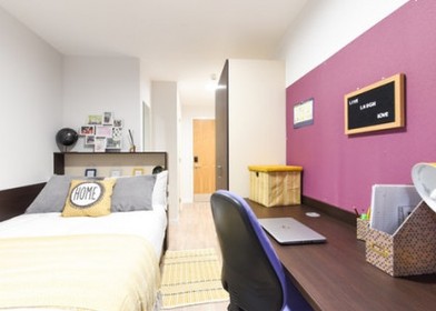 Chambre à louer dans un appartement en colocation à Swansea