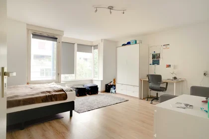 Chambre privée à Herman Bavinckstraat, Kralingen-Crooswijk, image 1 de 10