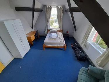 Özel oda konumu Bangor, LL57 2BD, 1 10 görüntüsü