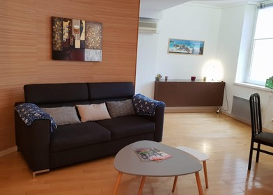 Moderne und helle Wohnung in nancy