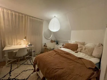 私人房间 在 Lambertusstraat, 5的图像1