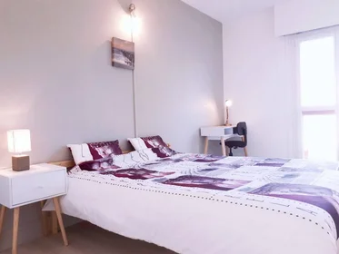 Chambre privée à Le mans, 72000, image 3 de 27