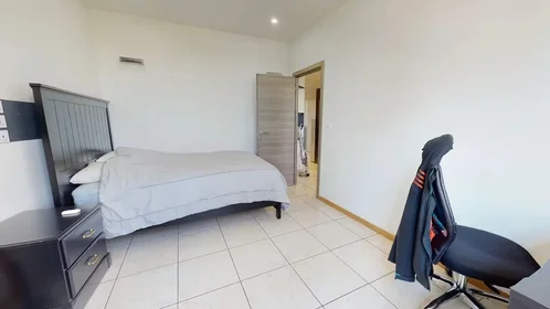 Habitación privada en Rue Pierre Delore, 8th Arrondissement, imagen 1 de 10