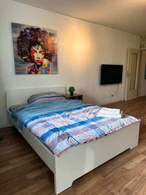 Prywatny pokój Brüsseler Str., 53117 Bonn, Germany, obraz 10 22
