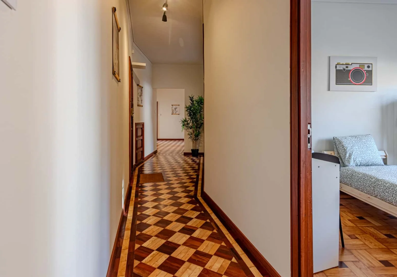 Affordable room for students with ample lighting in 