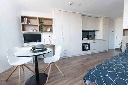 Estúdio em residência em 8 Leonard St, Parkville VIC 3052, Australia, imagem 1 de 27