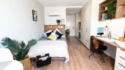 私人房间 在住宅内 在 8 Leonard St, Parkville VIC 3052, Australia, 21的图像21
