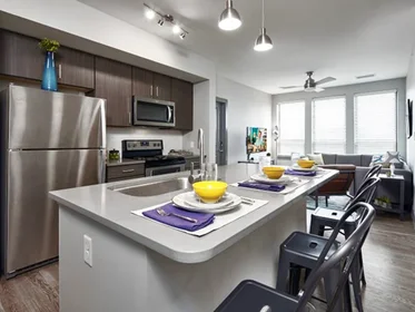 整租 在住宅内 在 615 S Main St, Ann Arbor, MI 48104, 20的图像18