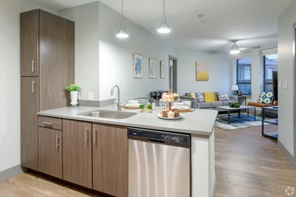 整租 在住宅内 在 615 S Main St, Ann Arbor, MI 48104, 20的图像20