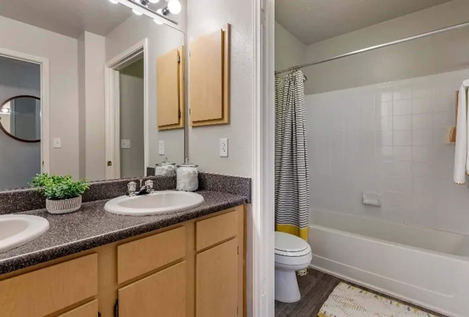 2250 West Elizabeth Street , Fort Collins, United States
