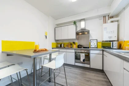 私人房间 在住宅内 在 1 Dean Patey Ct, Cathedral Gate, Liverpool L1 7BT, United Kingdom          , 20的图像9
