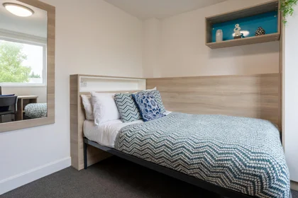 私人房间 在住宅内 在 1 Dean Patey Ct, Cathedral Gate, Liverpool L1 7BT, United Kingdom          , 20的图像2