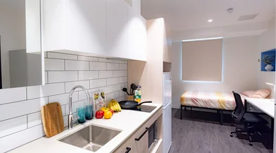 Studio à Y Suites On Gibbons, Sydney 15 Gibbons Street, Redfern, NSW 2016, image 1 de 10