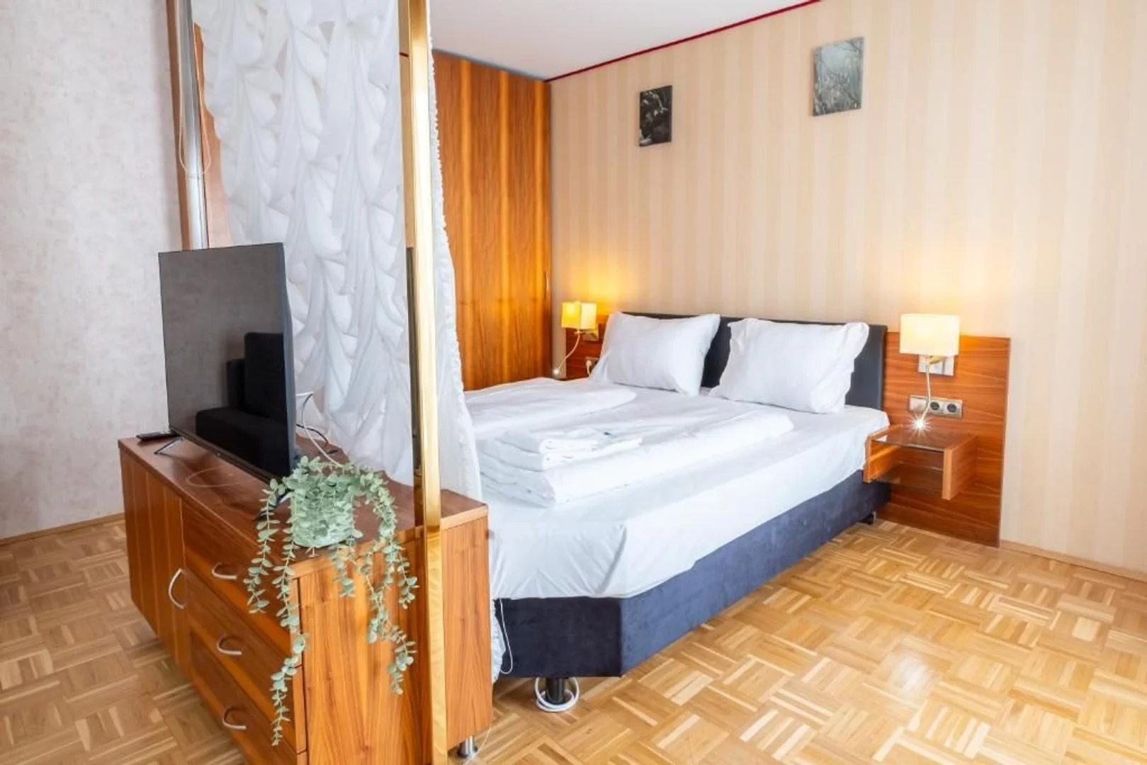 Budget-friendly student room close to campus in 