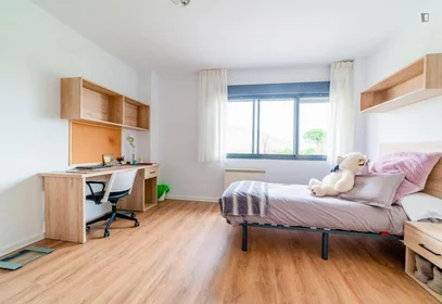 Stanza privata in residence in 103 Paseo del Prior, immagine 19 di 20