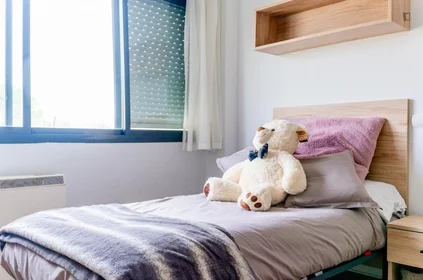 Stanza privata in residence in 103 Paseo del Prior, immagine 20 di 20