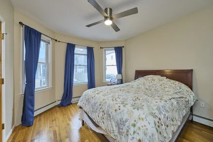 Logement entier en résidence à 14, Haverford St., Unit 1, Jamaica Plain, Boston, MA, 02130, image 11 de 22