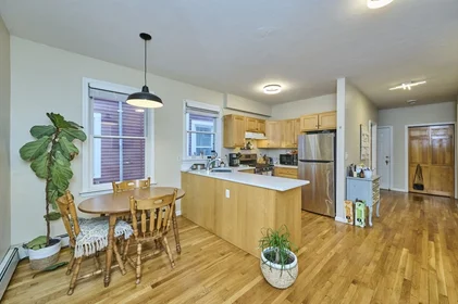 Logement entier en résidence à 14, Haverford St., Unit 1, Jamaica Plain, Boston, MA, 02130, image 12 de 22