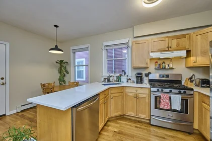 Logement entier en résidence à 14, Haverford St., Unit 1, Jamaica Plain, Boston, MA, 02130, image 16 de 22