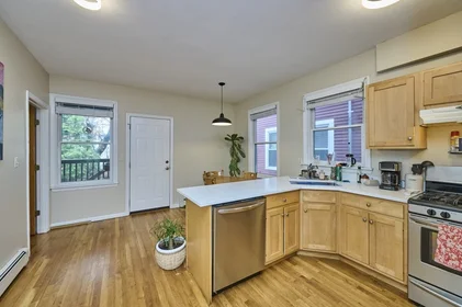 Logement entier en résidence à 14, Haverford St., Unit 1, Jamaica Plain, Boston, MA, 02130, image 20 de 22