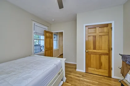 Logement entier en résidence à 14, Haverford St., Unit 1, Jamaica Plain, Boston, MA, 02130, image 4 de 22