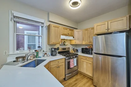 Logement entier en résidence à 14, Haverford St., Unit 1, Jamaica Plain, Boston, MA, 02130, image 6 de 22