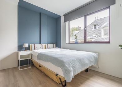 Renting rooms by the month in den-haag