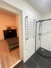 Appartamento in István utca, VII. kerület, immagine 6 di 6