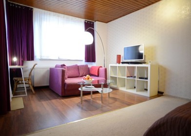 Luminoso e moderno appartamento a Bonn