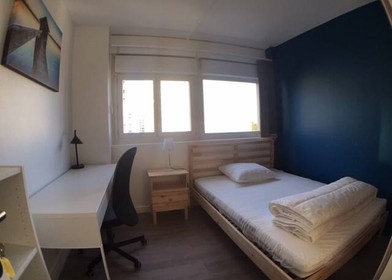 Bright private room in Villeurbanne