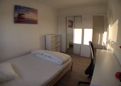 Bright private room in Villeurbanne