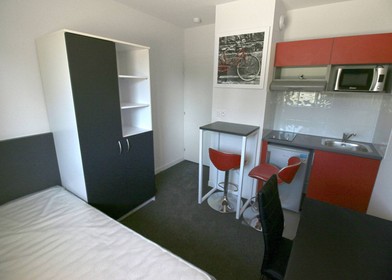 Zimmer mit Doppelbett zu vermieten Troyes