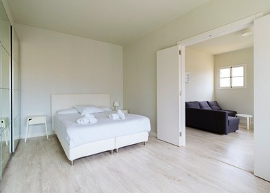 Las Palmas De Gran Canaria de ortak bir dairede kiralık oda