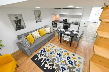 Całe miejsce Damjanich utca, obraz 6 14