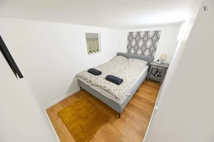 Całe miejsce Damjanich utca, obraz 9 14