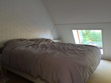 Entire place at Vosmaerstraat, image 1 of 5