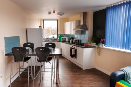 Prywatny pokój w rezydencji 193 Shoreham St, Sheffield City Centre, Sheffield S1 4RA, United Kingdom, obraz 10 15