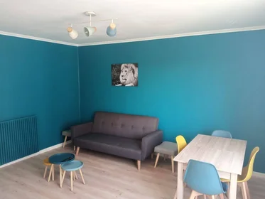 Stanza privata in Le mans, 72100, immagine 1 di 10