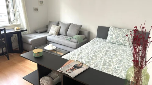 Prywatny pokój Bendlgasse, 21, obraz 1 10