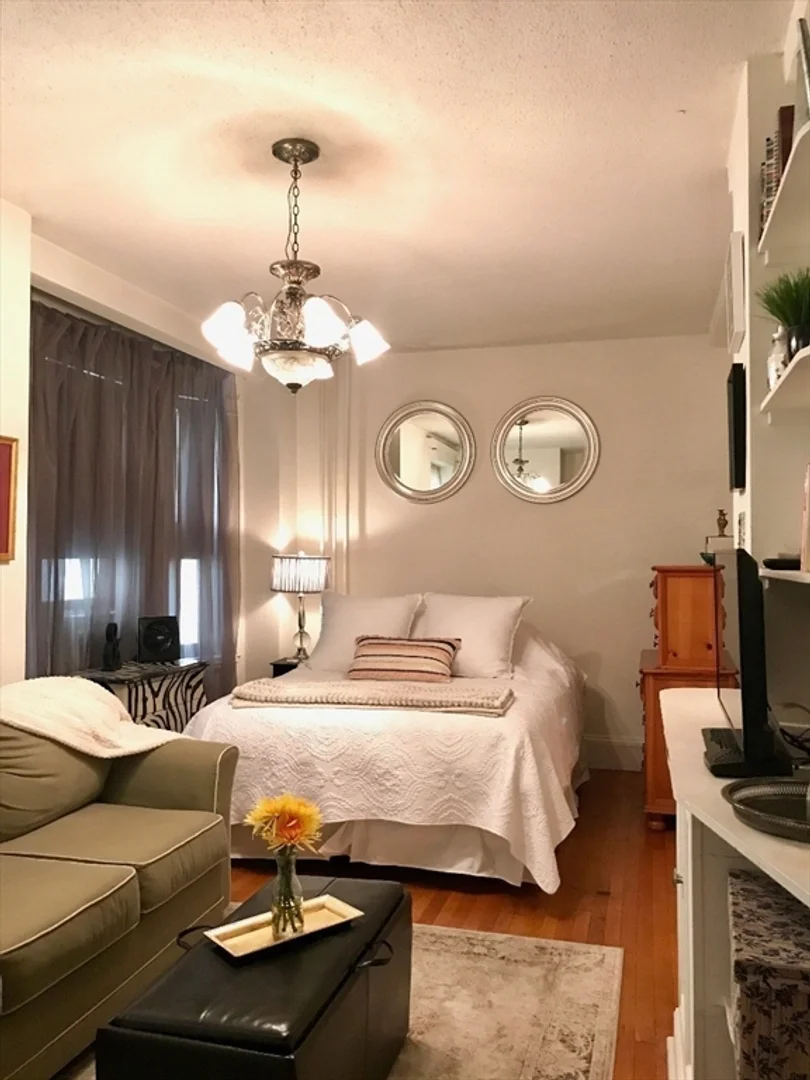 Chic studio apartment near campus in 