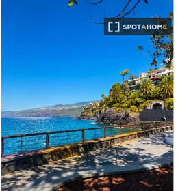 Entire place at Avenida de Cristobal Colón, image 13 of 15
