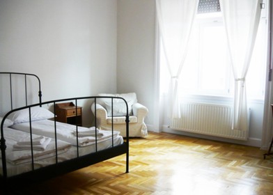 Accommodation with 3 bedrooms in budapest