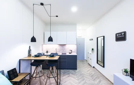 Apartamento inteiro em Vlhká 165/9, imagem 1 de 10