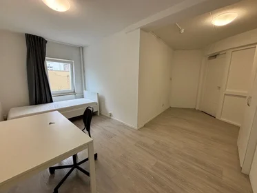 Stanza privata in Wycker Grachtstraat, immagine 1 di 4