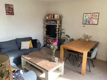 Chambre privée à Pluimstraat, image 6 de 9