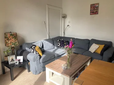 Chambre privée à Pluimstraat, image 8 de 9