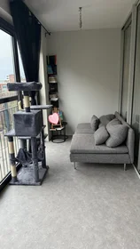 Chambre privée à Krijn Taconiskade, image 1 de 8