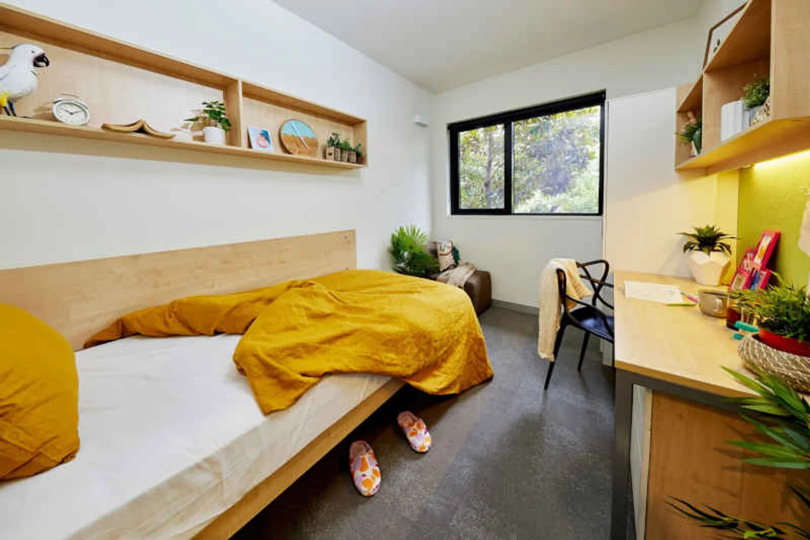Chambre d'étudiant lumineuse et aérée avec accès facile à l'université dans 