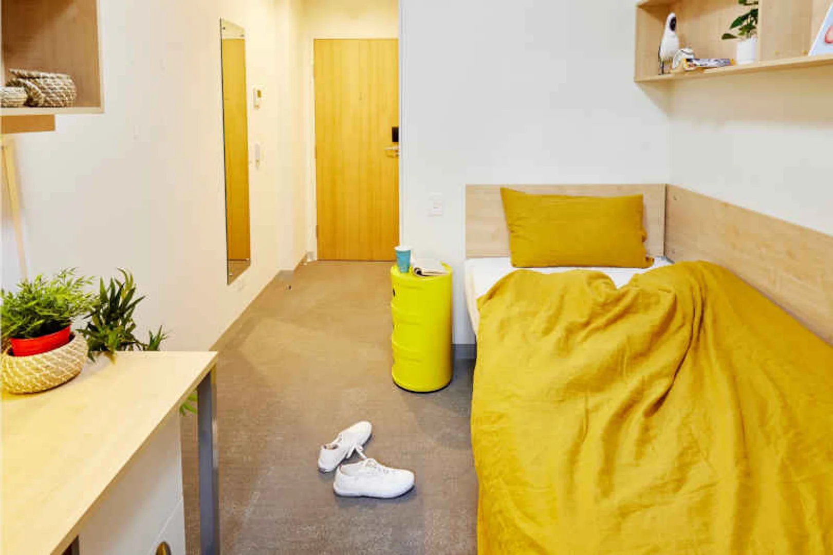 Chambre abordable pour les étudiants avec un bon éclairage dans 