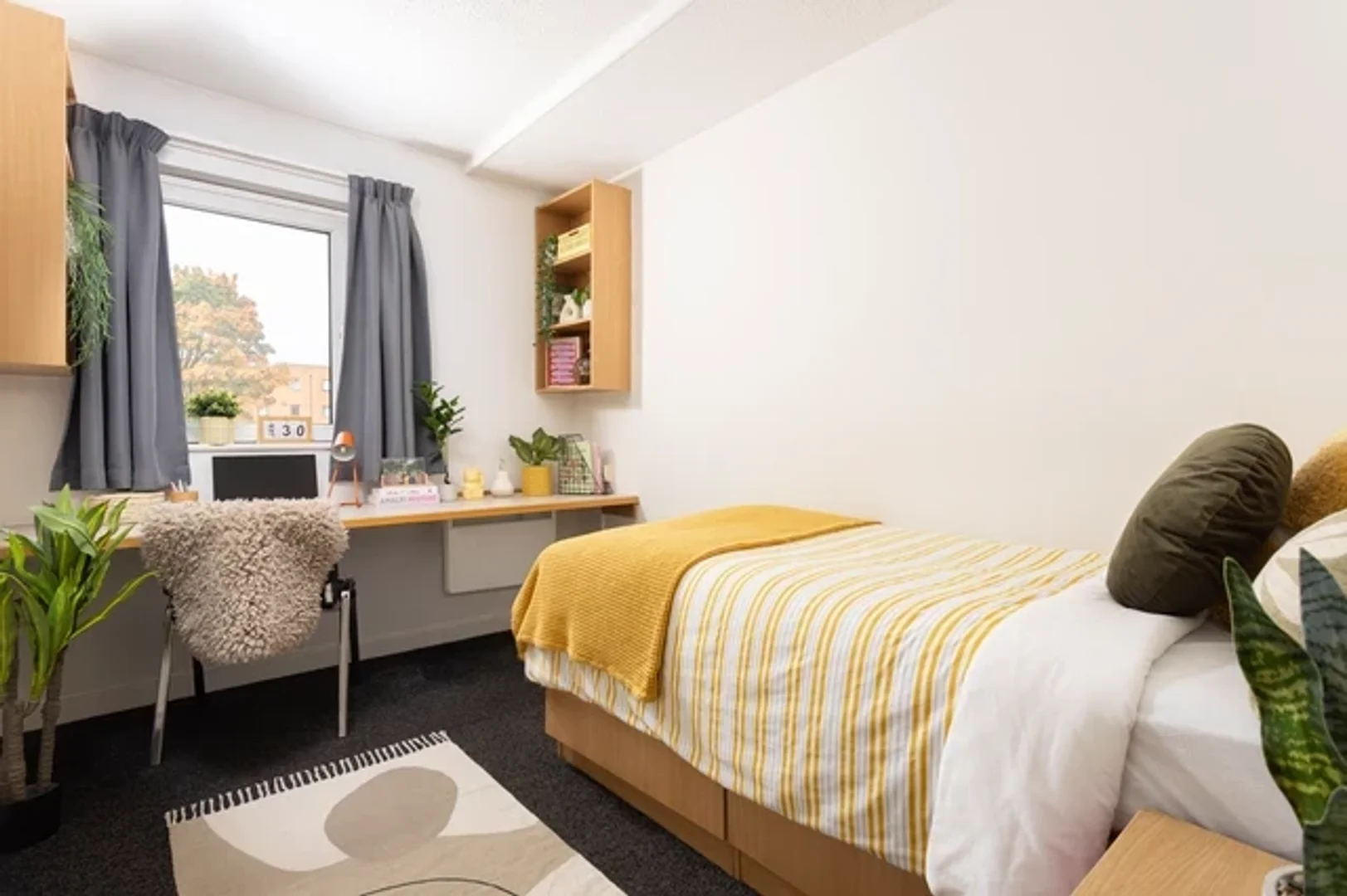 Habitación estudiantil económica con ubicación conveniente en 